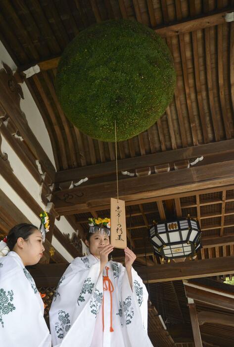 新しい大杉玉に木札を付ける巫女＝13日午前、奈良県桜井市の大神神社