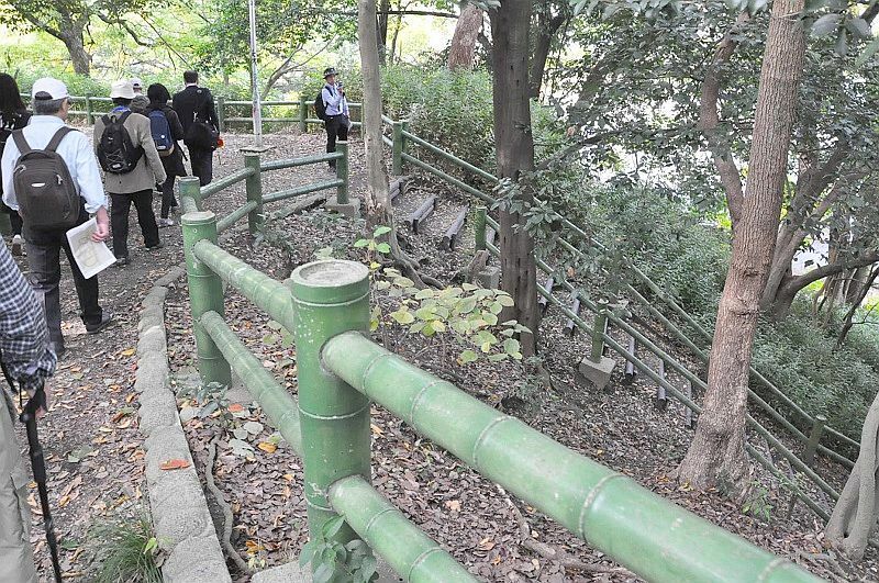 [写真]土塁跡に上ると高低差が体感できる