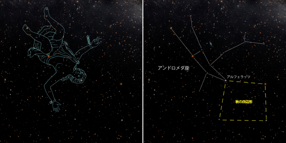 秋の四辺形から見つかるもう1つの星座（写真提供：葛飾区郷土と天文の博物館）