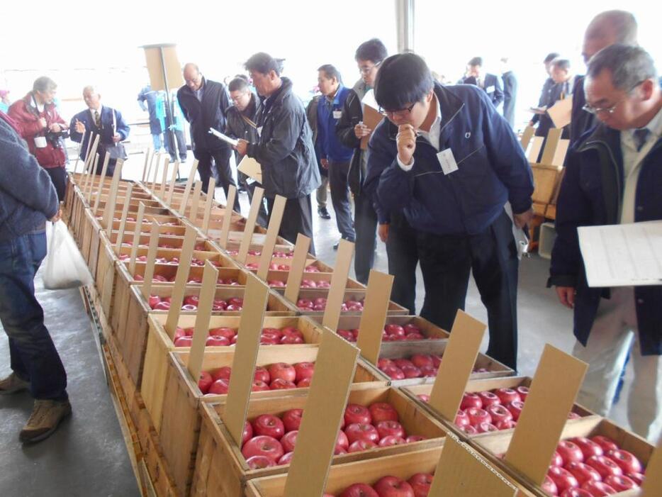 [写真]木箱のリンゴで品評会