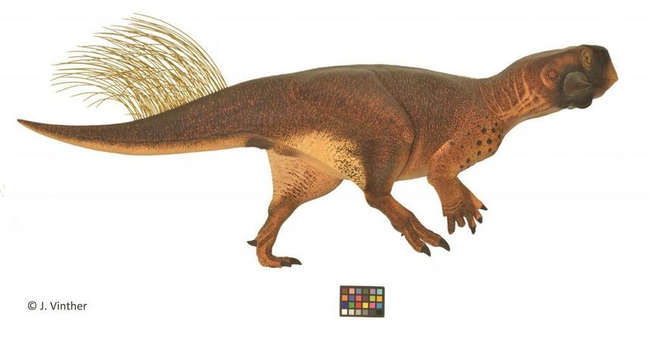 イメージ3．LIFを用いて復元されたプシッタコサウルスの体の色。ヴィンサー博士の研究に基づく（写真提供：Jakob Vinther）