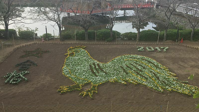 [写真]約8000株のパンジーで完成したジャンボ干支花絵=13日午後3時半ごろ、奈良県桜井市で