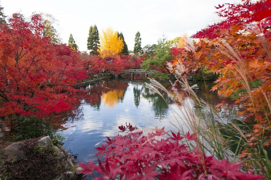 永観堂放生池の紅葉（写真提供：アフロ）