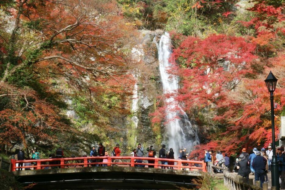 [写真]平日にもかかわらず多くの観光客でにぎわう箕面大滝＝26日午後1時半ごろ、大阪府箕面市で