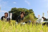 つや姫レディや生産者と一緒に稲刈りする吉村美恵子山形県知事（中央）