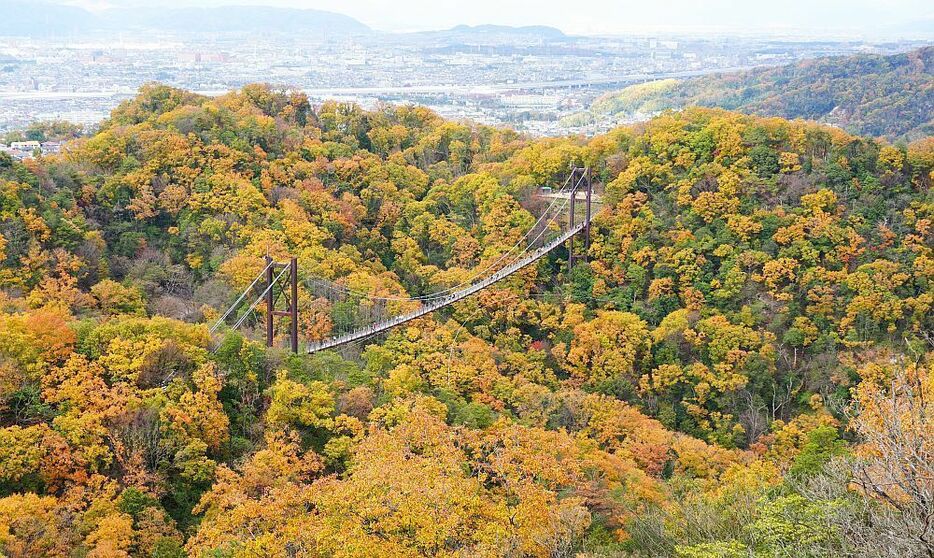 [写真]「ほしだ園地」にあるつり橋「星のブランコ」付近の紅葉が見ごろを迎え、多くの見物人でにぎわっている＝5日午後1時半ごろ、大阪府交野市で