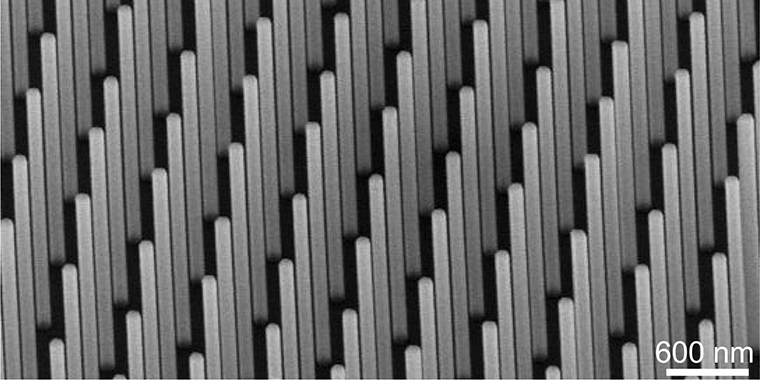 シリコン基板上のインジウムガリウムヒ素ナノワイヤの電子顕微鏡写真（北大提供の資料を基に作成）