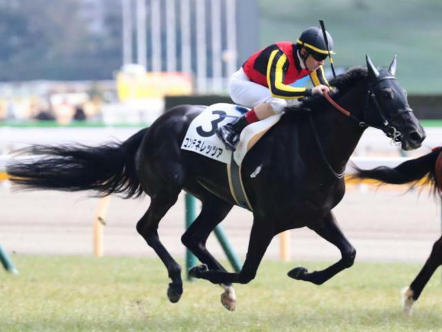 初勝利を目指すコンテネレッツア(今年2月撮影、ユーザー提供：淳。さん)