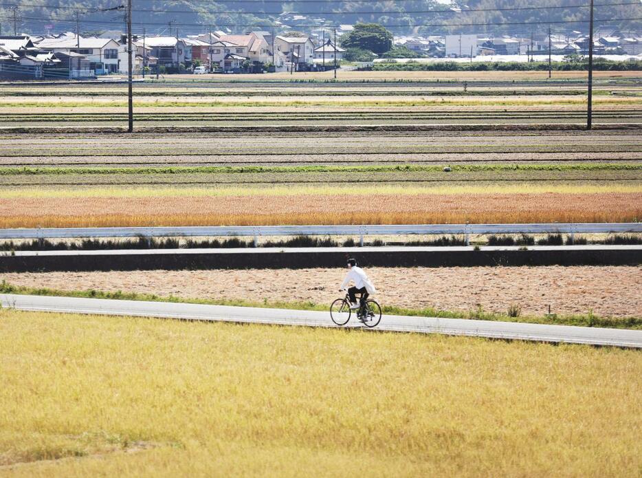 郊外にある釣具店の周りには豊かな田園地帯が広がっている