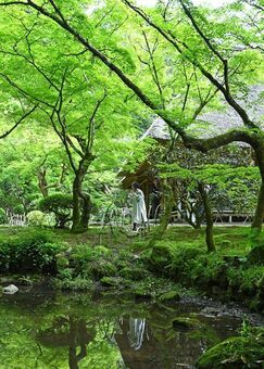 新緑に包まれた国の名勝「九年庵」。４日から一般公開が始まる＝３日午前、神埼市神埼町