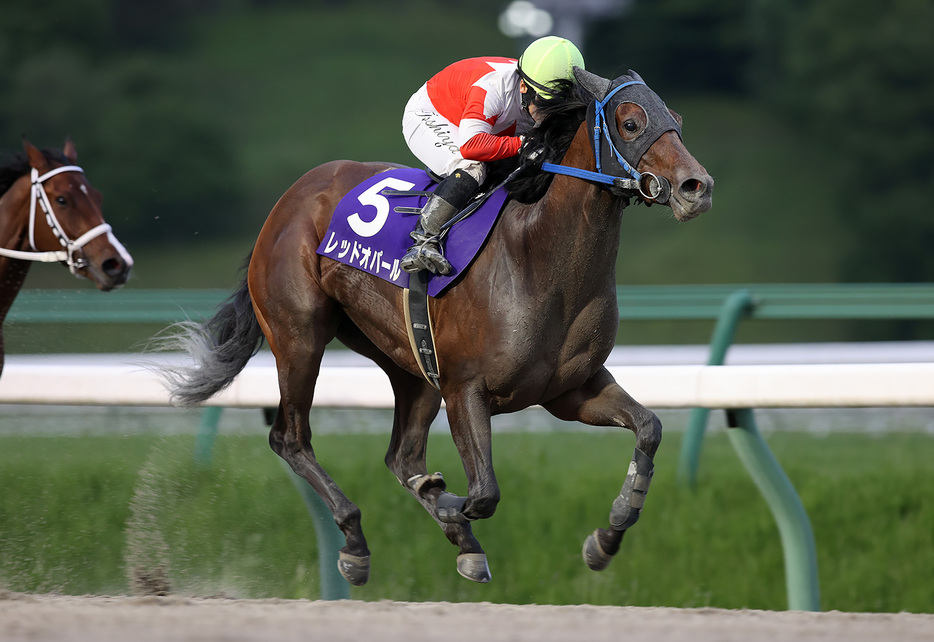 イーハトーブマイル・レッドオパールと山本聡哉騎手 (C)岩手県競馬組合