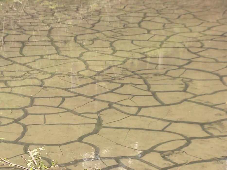 瑞穂市大湫町ではため息などで水位低下が確認 岐阜