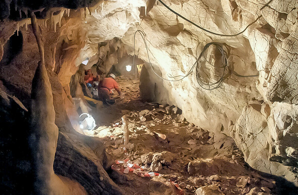 3万7000年～4万2000年前のネアンデルタール人のゲノムを持つ現生人類の遺骨が発掘されたルーマニアのペシュテラ・ク・ワセ洞窟=OASE PROJECT/サイエンス