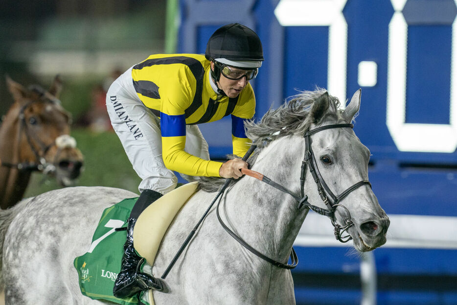 レッドシーターフハンデキャップ・シルヴァーソニック (C)Jockey Club of Saudi Arabia // Mathea Kelley