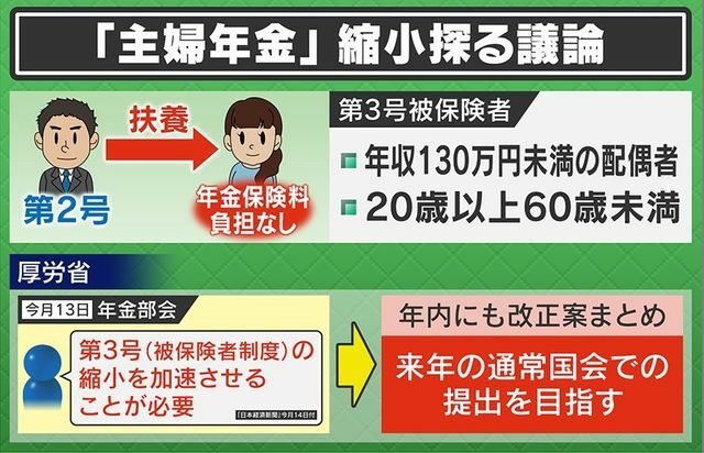 「主婦年金」縮小 年内にも改正案まとめ 来年の国会での提出へ