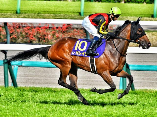 牝馬として4頭目の日本ダービー制覇を目指すレガレイラ(今年4月撮影、ユーザー提供：ナオンタスさん)