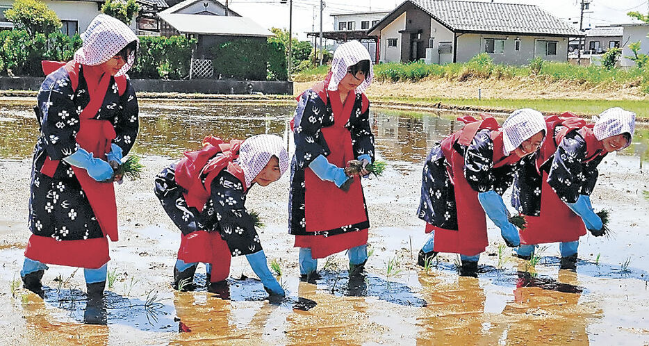 早乙女姿で苗を丁寧に植える生徒＝２２日午前１０時半、七尾市中島町中島