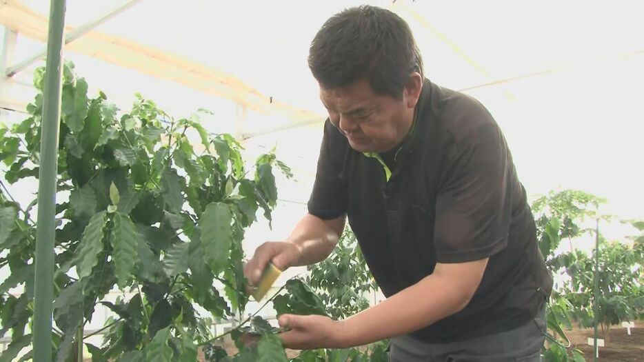 コーヒー担当・竹内仁士さん