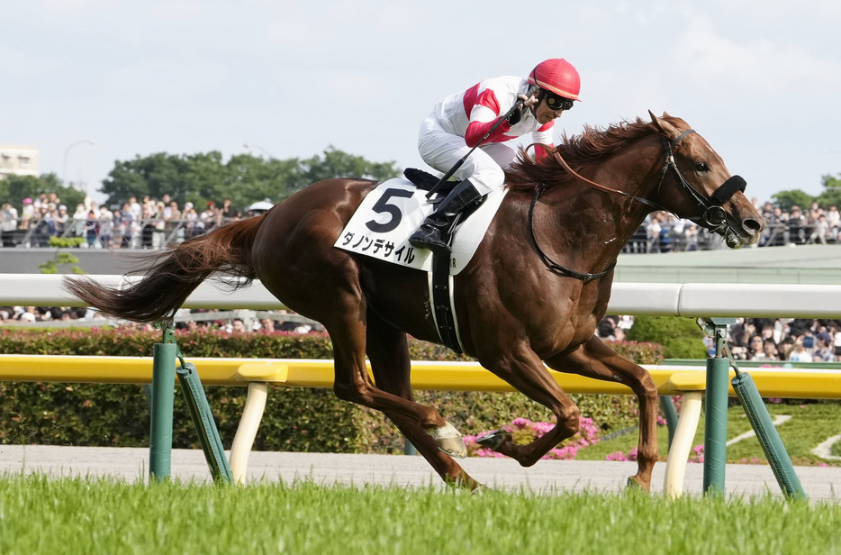 第91回日本ダービーを制した横山典弘騎乗のダノンデサイル＝東京競馬場