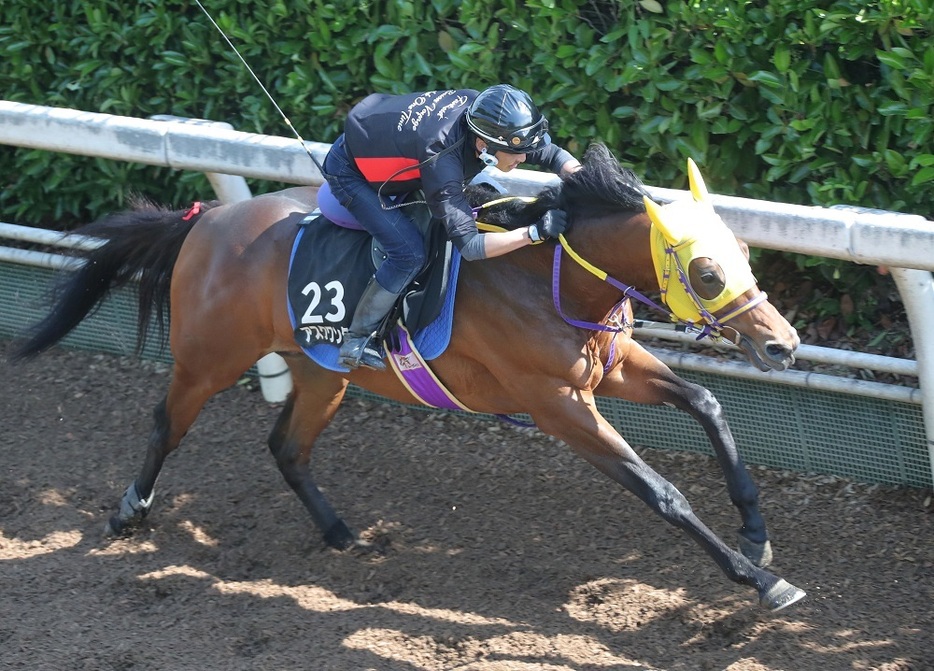 小倉2歳Sの勝ち馬アスクワンタイムが、実績ある距離で復活を目指す