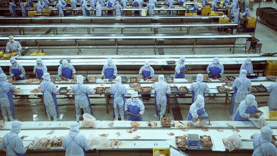 タイ・チョンブリ県の大規模養鶏場における鶏肉の切断処理作業（この写真は記事の内容に直接の関係はありません）