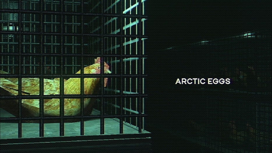 『Arctic Eggs』レビュー