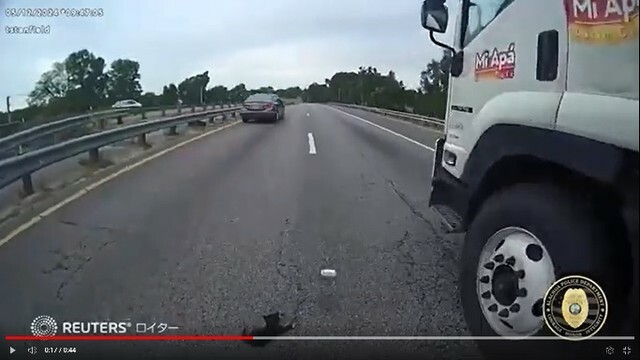 米フロリダ州で子猫が高速道路に迷い込んだ（ロイター）