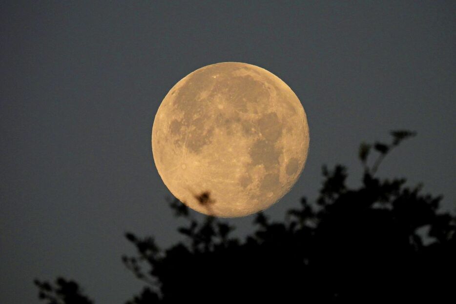 今週、「フラワームーン」の満月が昇る（Getty Images）