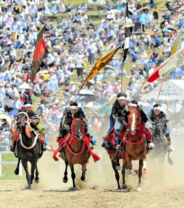 甲冑競馬で旗指物をなびかせ、疾走する騎馬武者
