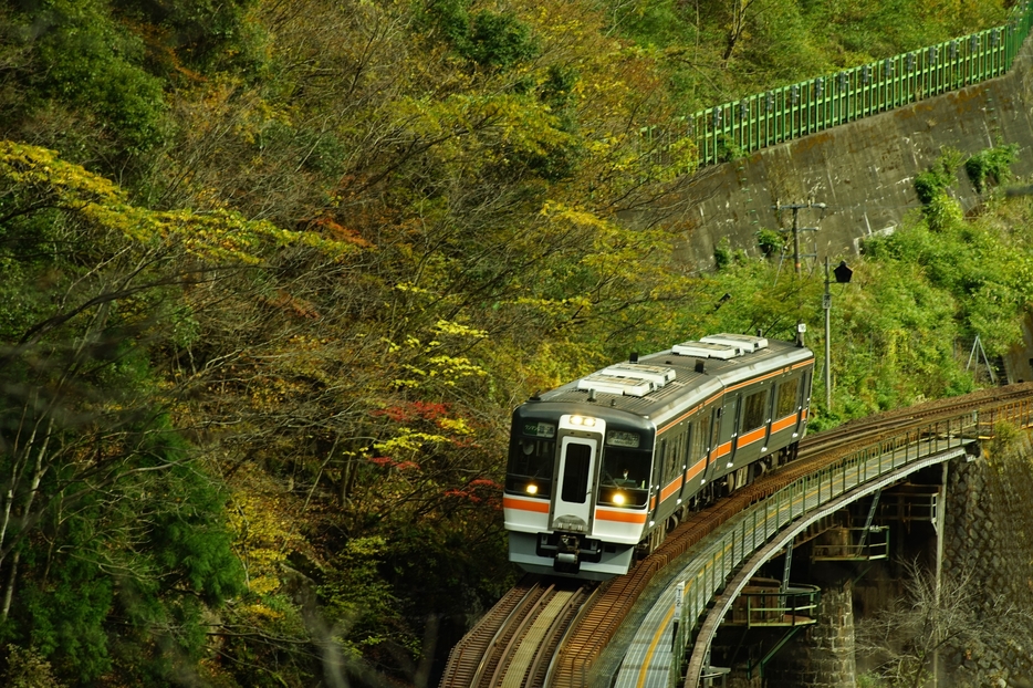 JR東海の非電化路線のひとつである高山線。