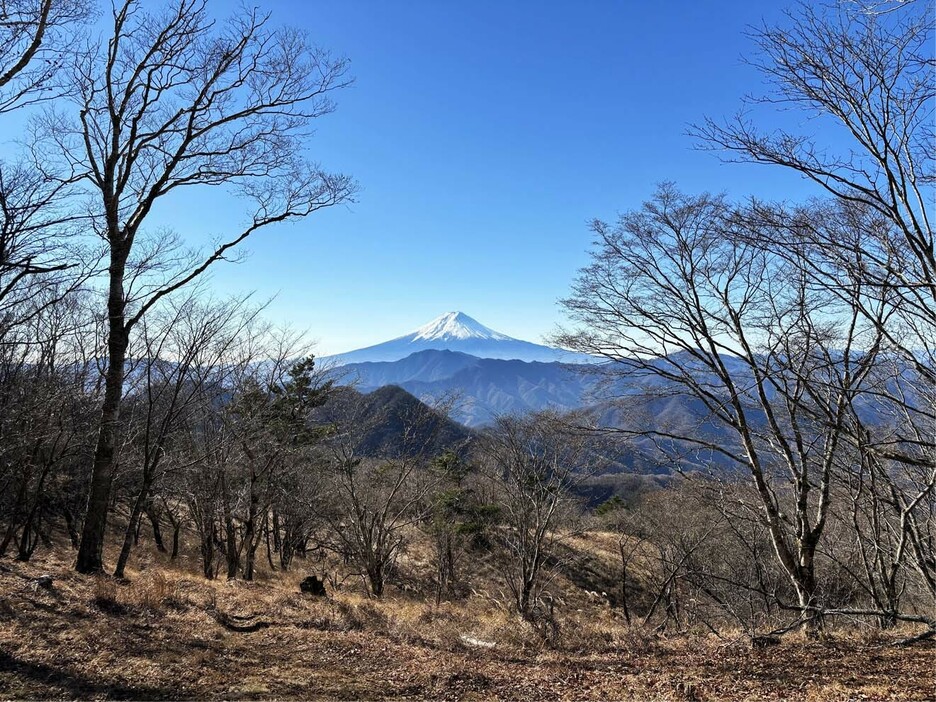 秀麗富嶽十二景の二番山頂、大蔵高丸からの富士山の眺望