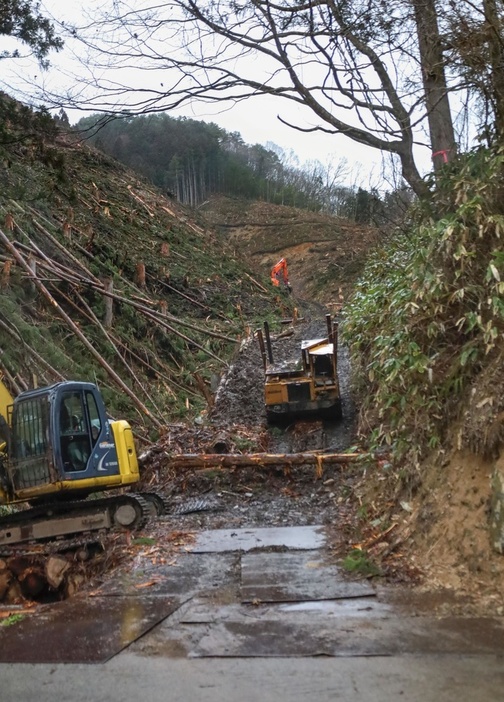 初めてヒバゴンが目撃されたとされる旧西城町油木地区の林道＝2024年3月、広島県庄原市