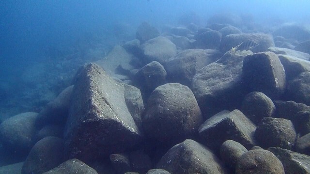 海藻が生えず岩がむき出しに