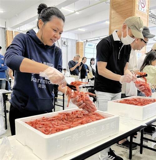 甘エビの詰め放題に挑戦する参加者=5月12日、福井県坂井市の三国港市場