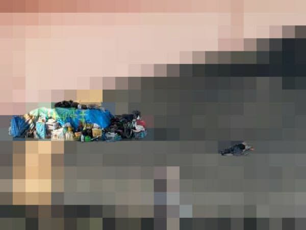 コンクリート護岸の上で眠る「ダイスケさん」（中央右寄り）＝２０２３年８月（画像を一部加工しています）