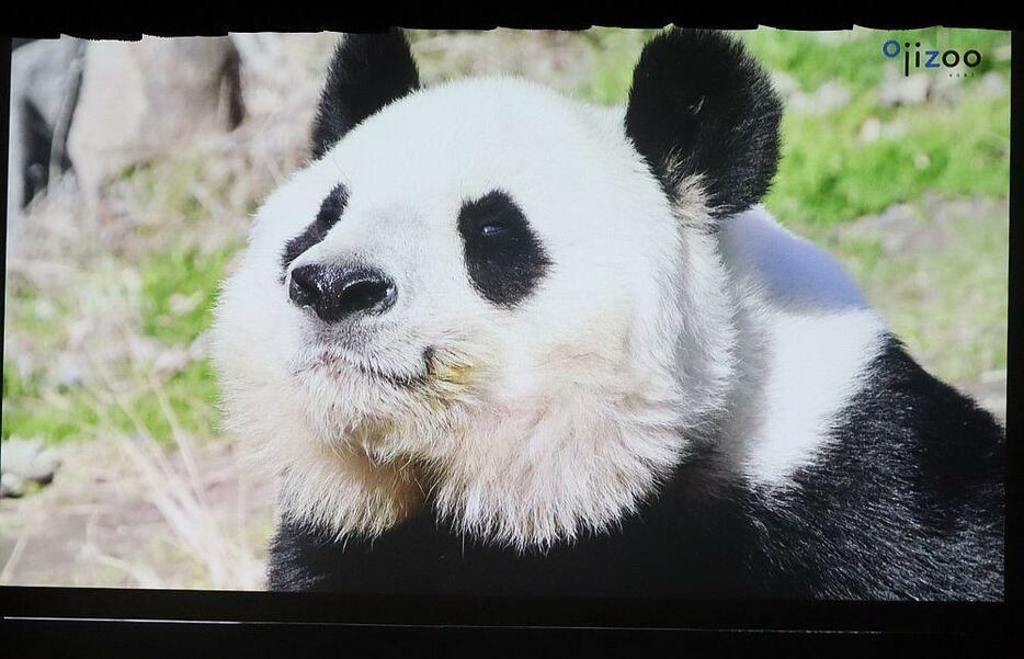 ［写真］会場で流されたメモリアルムービーの一画面＝10日、神戸市立王子動物園で