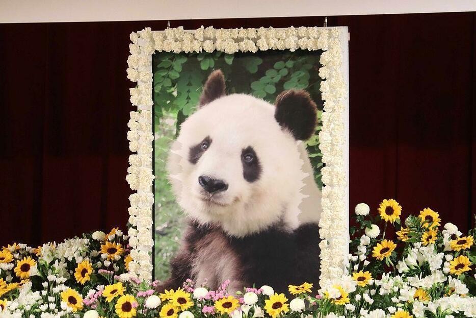 ［写真］追悼式にはタンタンの遺影が掲げられた＝10日、神戸市立王子動物園で（撮影：具志堅浩二）
