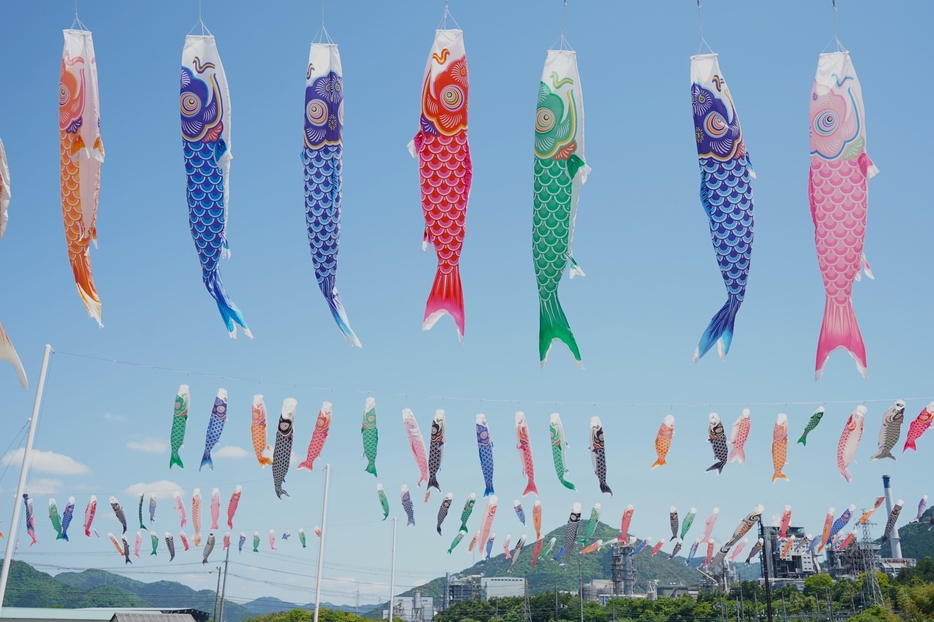 青空に悠々と泳ぐ鯉のぼり＝2024年5月3日午後零時23分、兵庫県丹波市山南町村森で