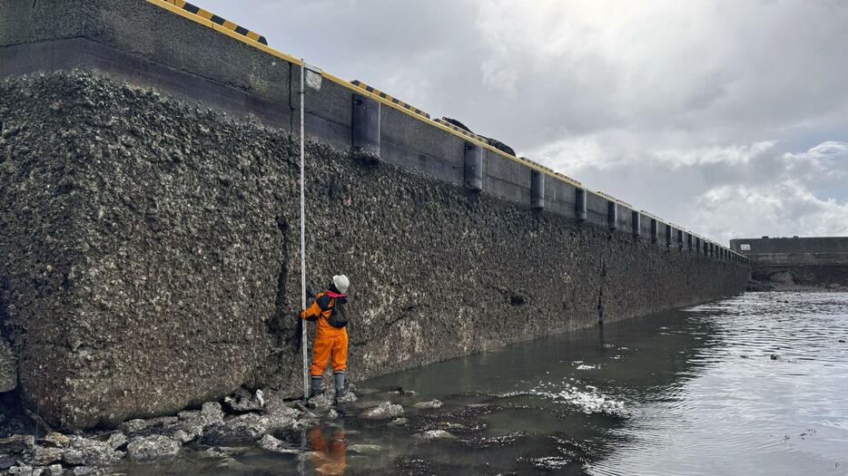 約4メートルの隆起が確認された石川県輪島市の鹿磯漁港の防潮堤＝1月（産総研地質調査総合センター提供）