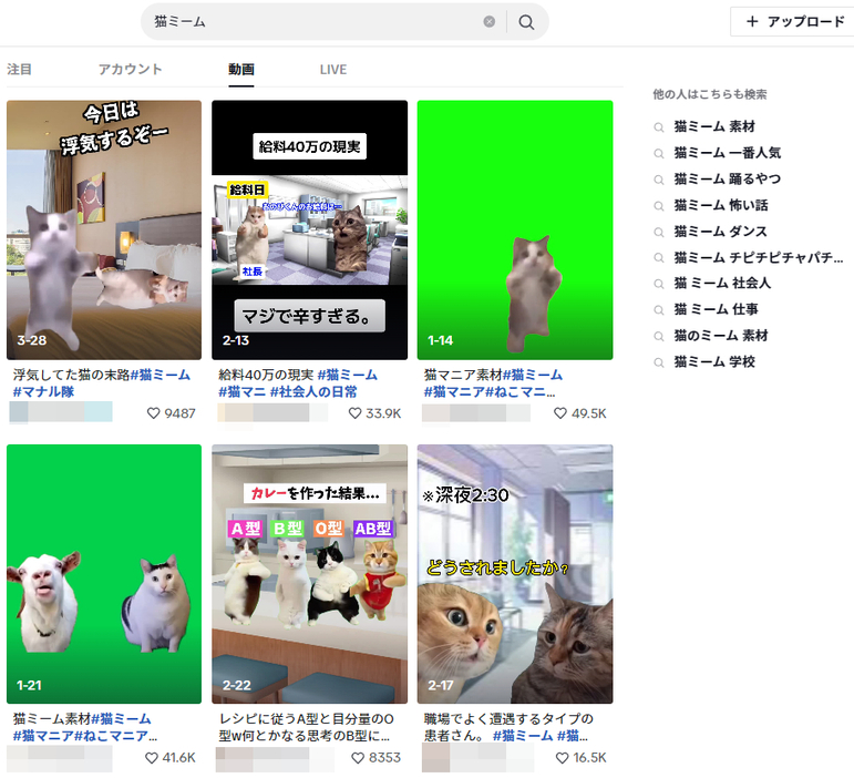 TikTokでの「猫ミーム」の検索結果（参考画像）