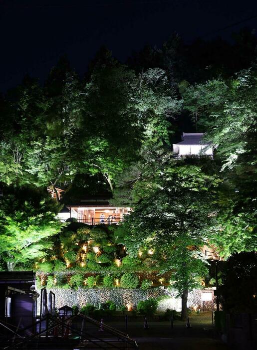 ライトアップされ幻想的な雰囲気に包まれた楽山苑=5月17日、長岡市与板町与板