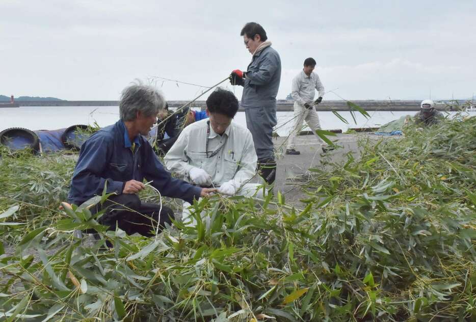 ベテラン漁師に教わりながらイカシバを作る林業や漁業の関係者ら＝阿久根市の阿久根新港