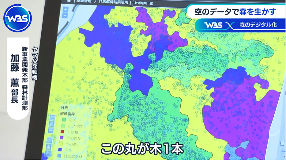 静岡県で計測したデータ。丸が木1本を示している