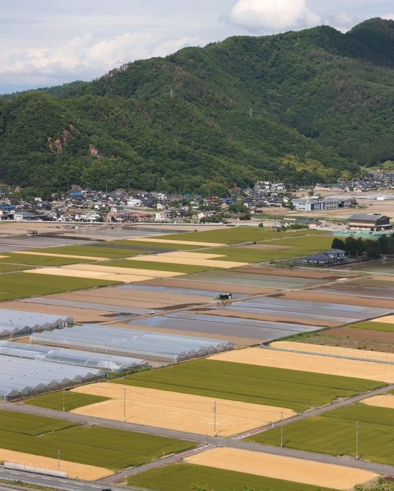 パッチワークのような光景が広がる田畑