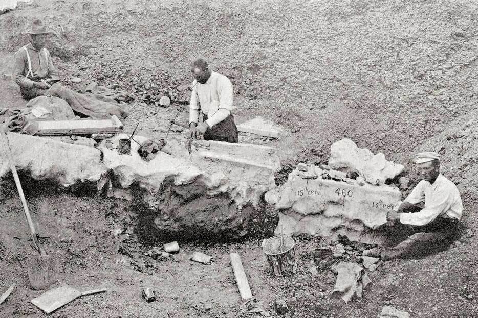 米ワイオミング州コモ・ブラフにあるボーン・キャビン採石場で巨大なマンモスの骨を発掘する男たち。（PHOTOGRAPH BY UNIVERSAL HISTORY ARCHIVE, GETTY IMAGES）