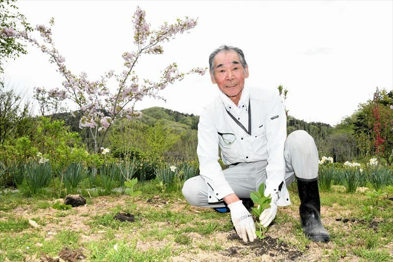 新たにアジサイの苗を植える多田さん。地域を花で彩り、古里の景観を守る思いを持つ
