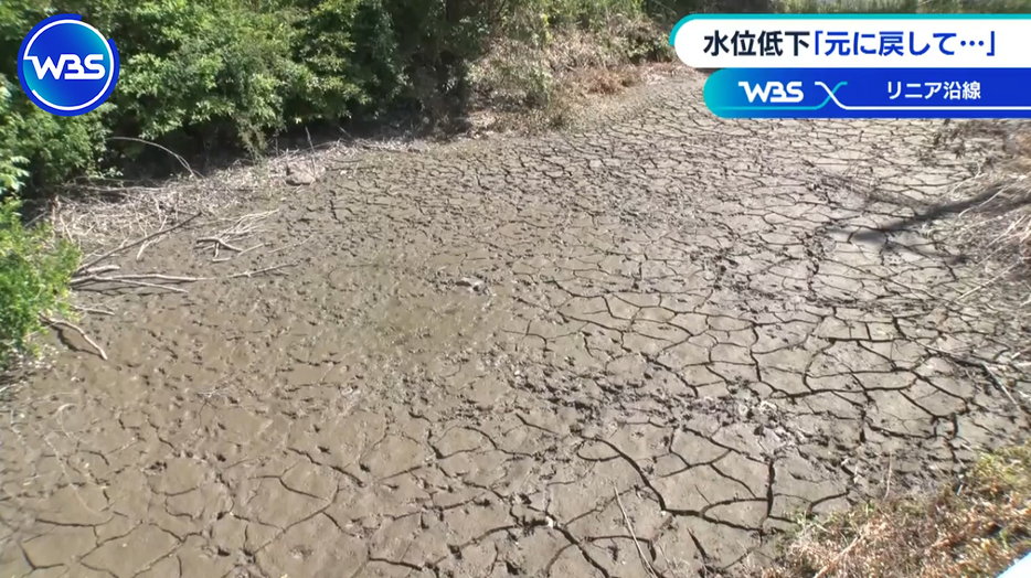 水が干上がってしまったため池