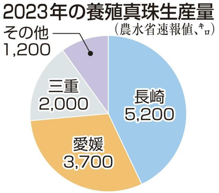 23年の愛媛県内真珠生産、初の4000キロ割れ　3年連続全国2位も過去最少更新
