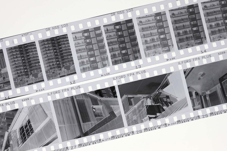 上がハーフサイズで撮影したネガフィルム、下が36×24mmのフォーマットを持つカメラで撮影したネガフィルム。ハーフサイズはその名のとおり、36×24mmの半分の大きさであることが分かります