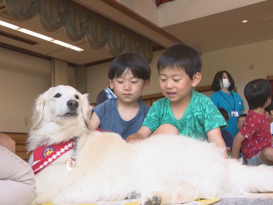 犬とふれあう子供たち 愛知県豊田市の「竜神こども園」